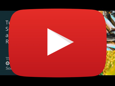 Why Restaurants Dump Tons of Edible Food: The Hidden Barriers Blocking Donations